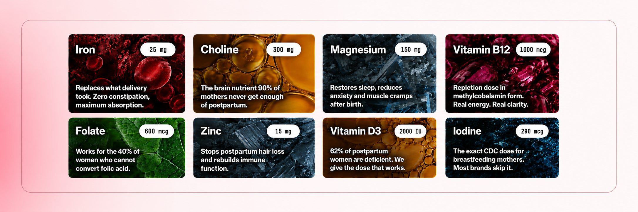 8 INGREDIENTS IN 1 POWERFUL FORMULA